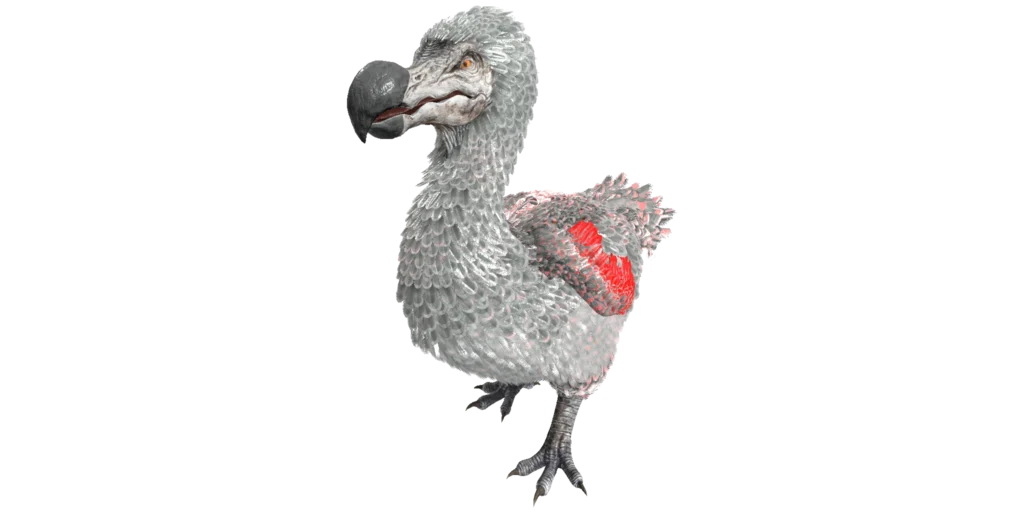 Zombie Dodo | ARK: Survival Ascended & Evolved