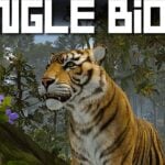 Rust Update May 2025