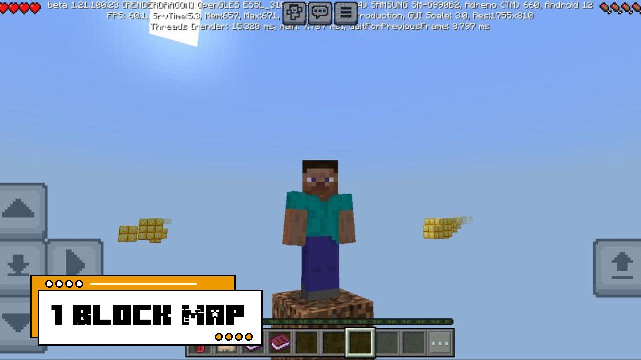 1 Block Map: Try To Survive