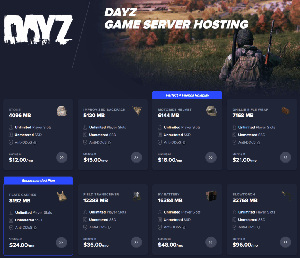 DayZ Server Hosting