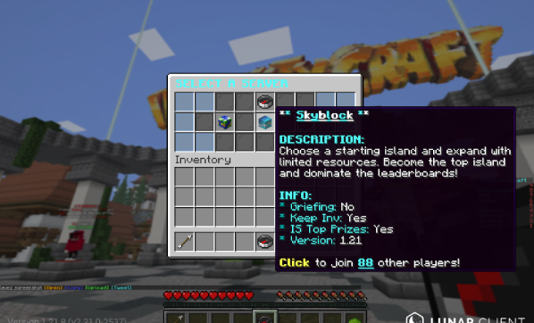 insanitycraft community