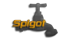 Spigot Server