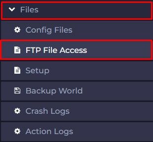 FTP Files Access