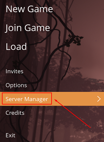 Server Manager