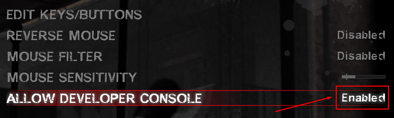 Enable Console