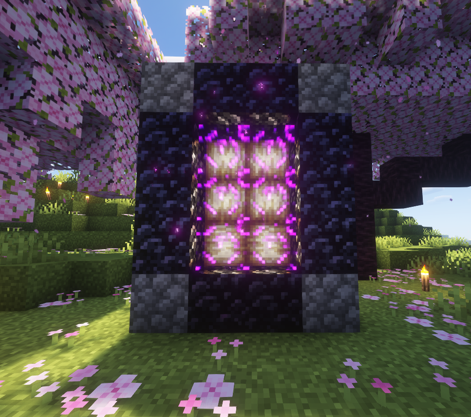Minecraft Nether Portal on a Sweety Biomey with Frogy lighy in Minecraft