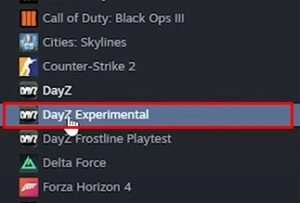 How to Join DayZ Experimental - GGServers Knowledgebase