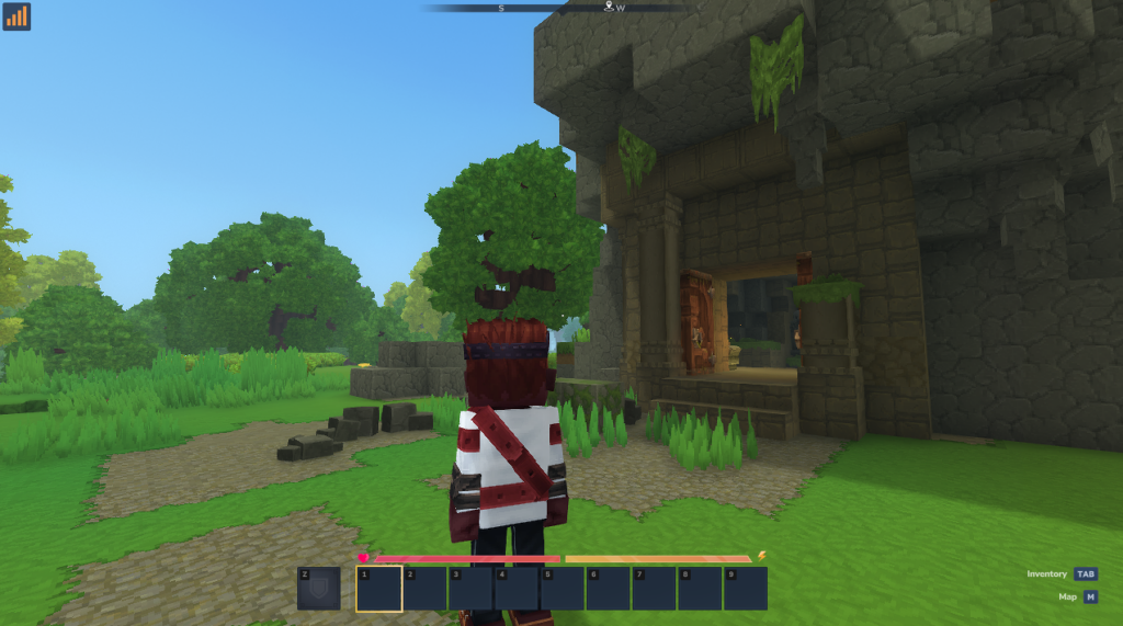 Successfully connecting to a Hytale world