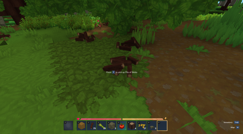 Picking up sticks in Hytale using the F key